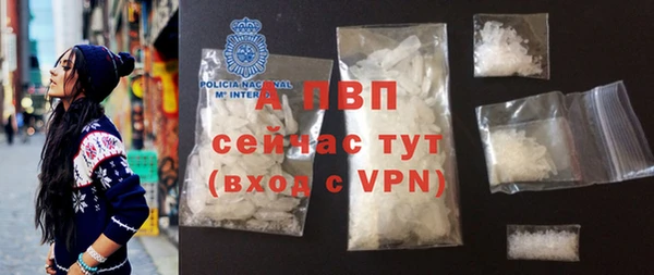 шишки Белокуриха