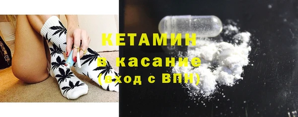 шишки Белокуриха