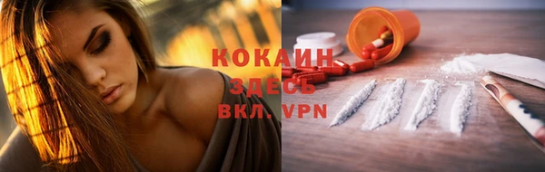 шишки Белокуриха