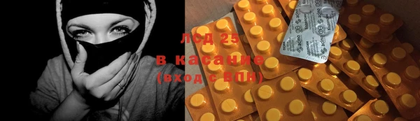 шишки Белокуриха