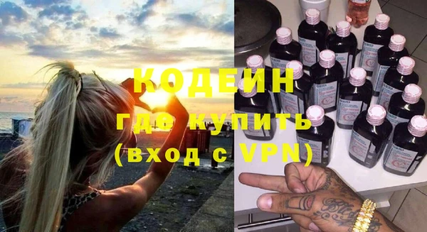 шишки Белокуриха