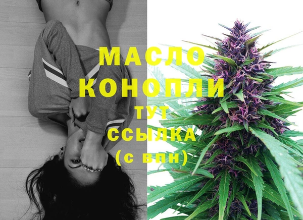 шишки Белокуриха