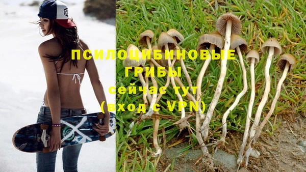 бутират Беломорск
