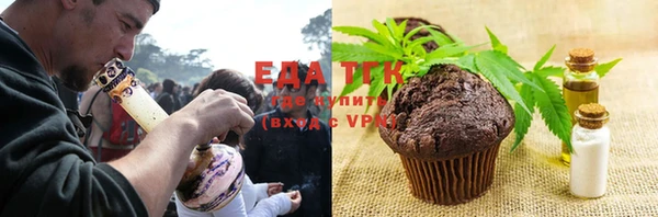 шишки Белокуриха