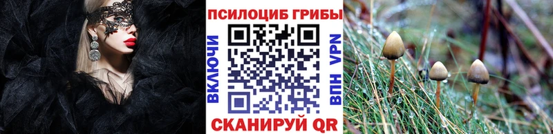 Галлюциногенные грибы Psilocybe  Иноземцево 